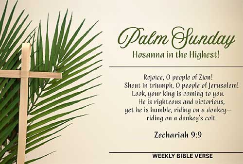 a light brown banner with a palm leaf and a cross and the scripture Zecharia 9:9